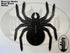 Mega Black Widow Spider 200