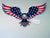 DayCor® HiRes ChromaEagle Flying Medium