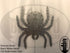Black Widow Spider - Boscoyo Studio