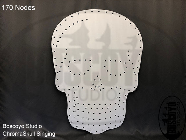 ChromaSkull Singing - Boscoyo Studio