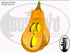 DayCor HiRes Goofy Gourd - Boscoyo Studio