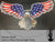DayCor® HiRes ChromaEagle Flying - Boscoyo Studio