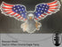 DayCor® HiRes ChromaEagle Flying - Boscoyo Studio