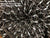 Megatree Mounting Strip Heavy Duty Max--LOADED - Boscoyo Studio