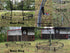 Ultimate Megatree Tower 31' - Boscoyo Studio